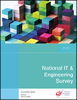 2023 National IT & Engineering Survey